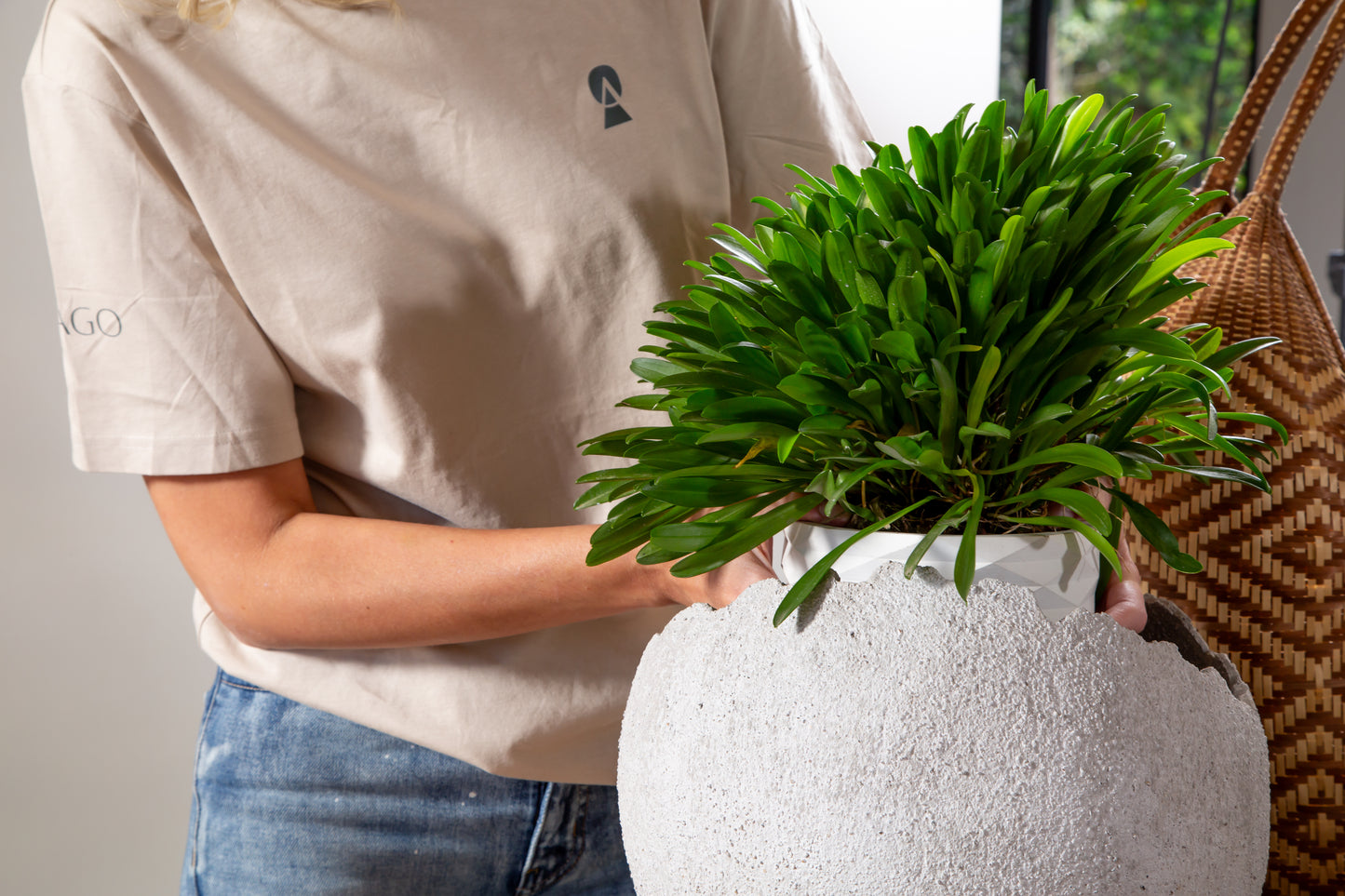 Rustic Concrete Flowerpot