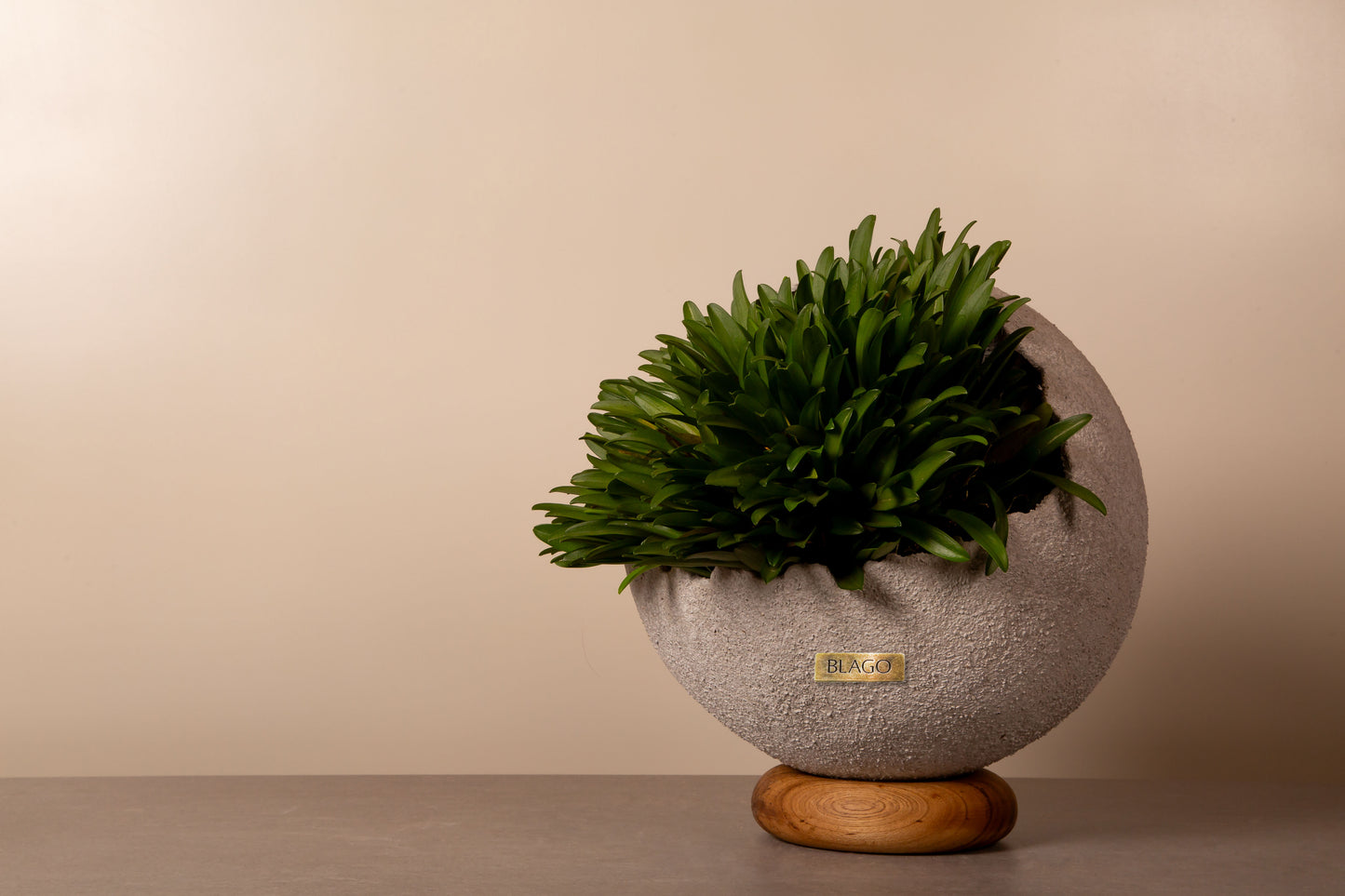 Rustic Concrete Flowerpot