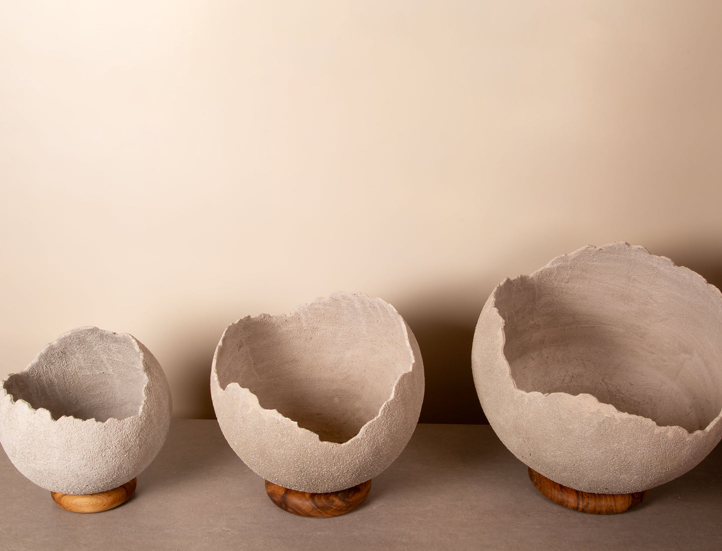 Rustic Concrete Flowerpot