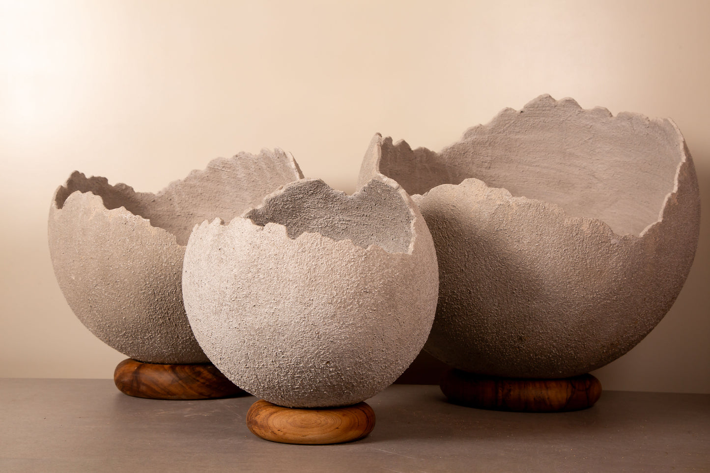 Rustic Concrete Flowerpot