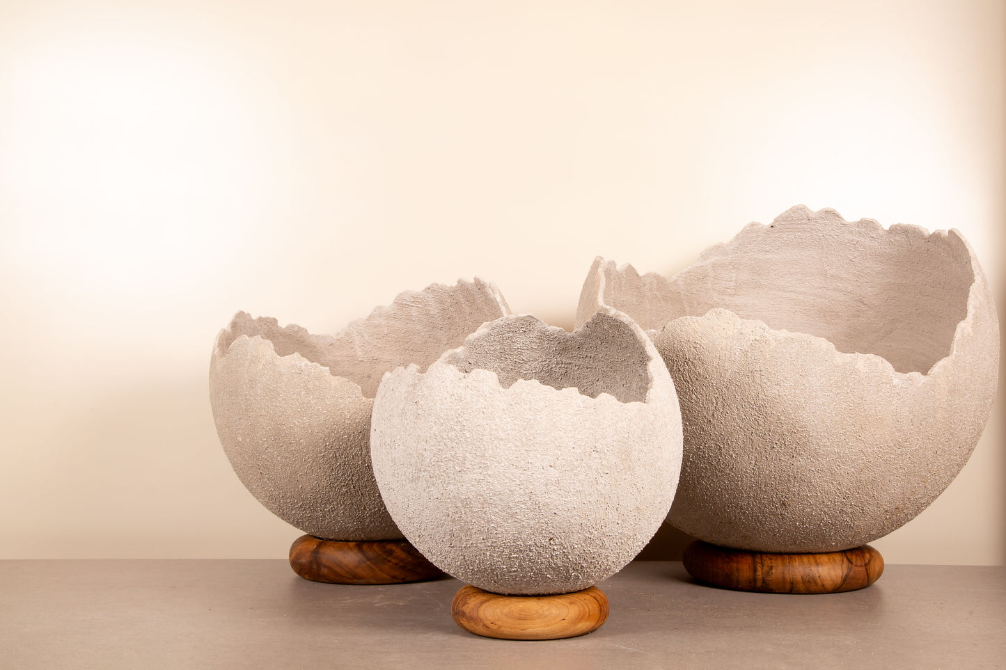 Rustic Concrete Flowerpot