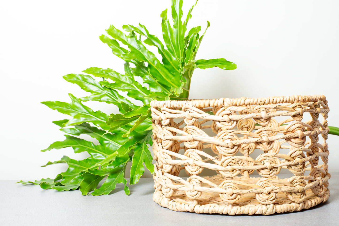 Snail Basket