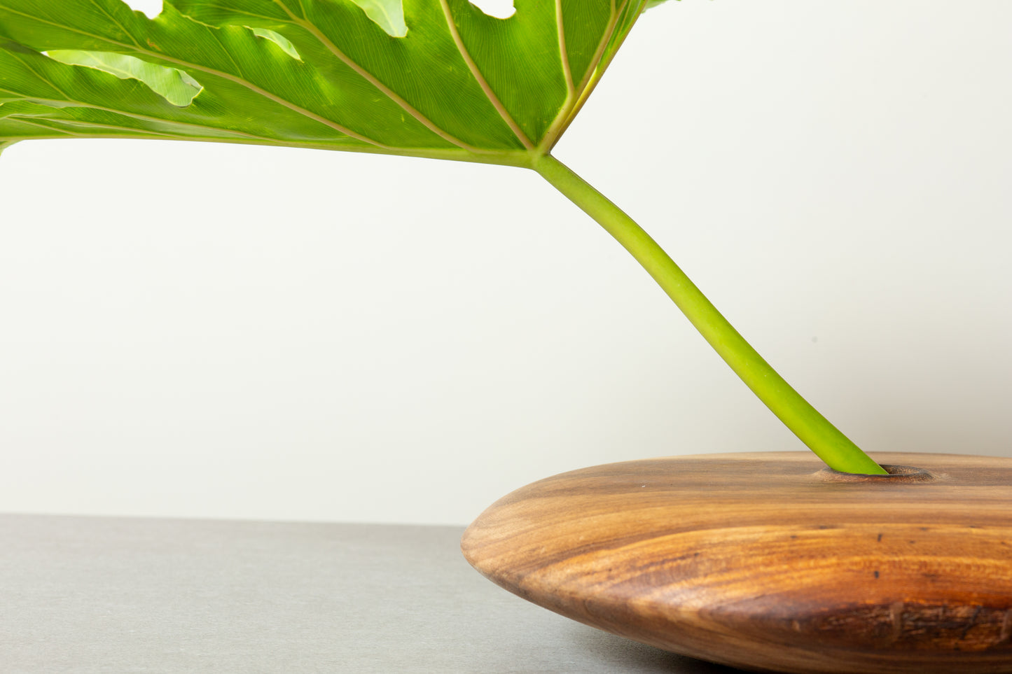 Walnut Vase