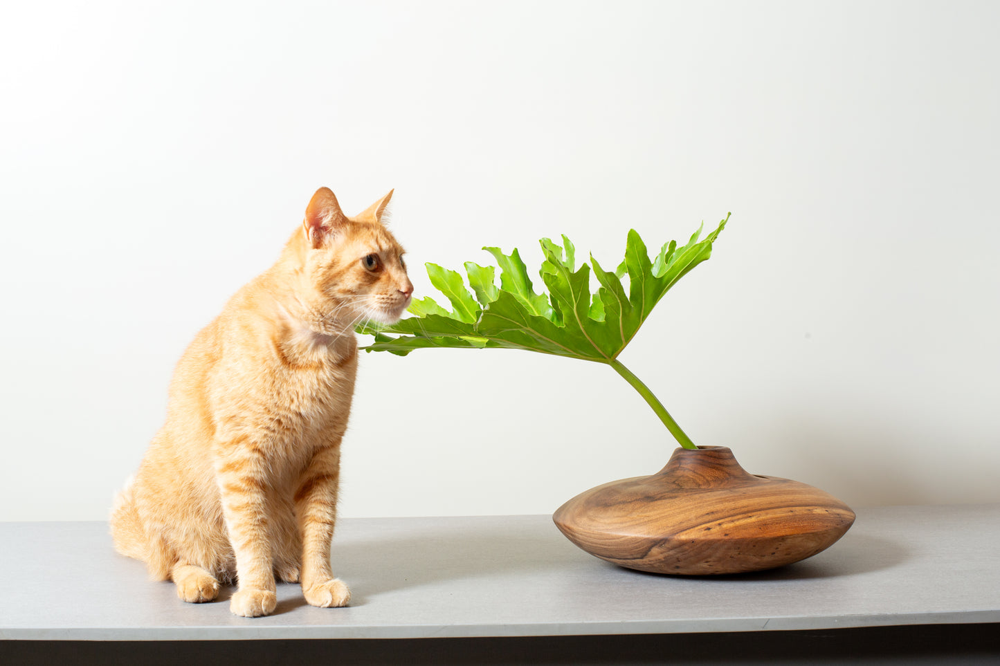 Walnut Vase
